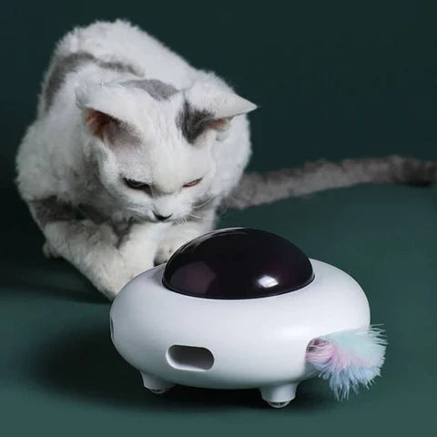 Automatic pet toys