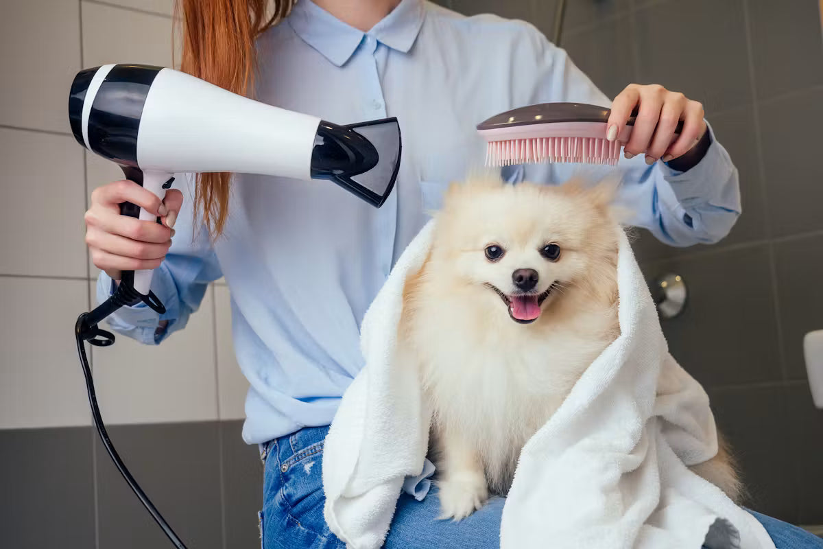 Pet Groomings kit