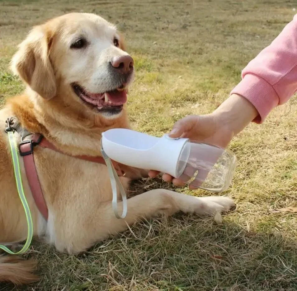 Portable pet bottle